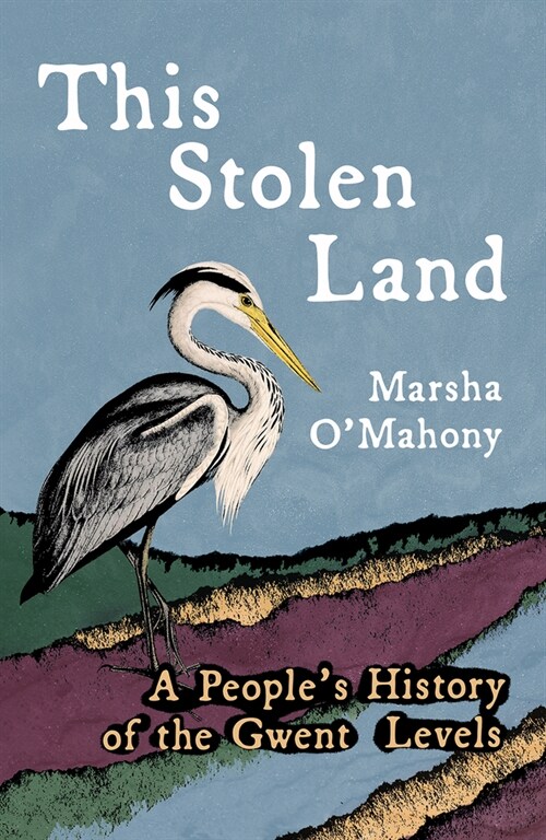This Stolen Land : A Peoples History of the Gwent Levels (Paperback)