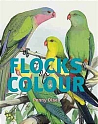 Flocks of Colour (Paperback)