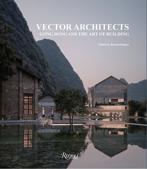 Vector Architects: Gong Dong and the Art of Building (Hardcover)