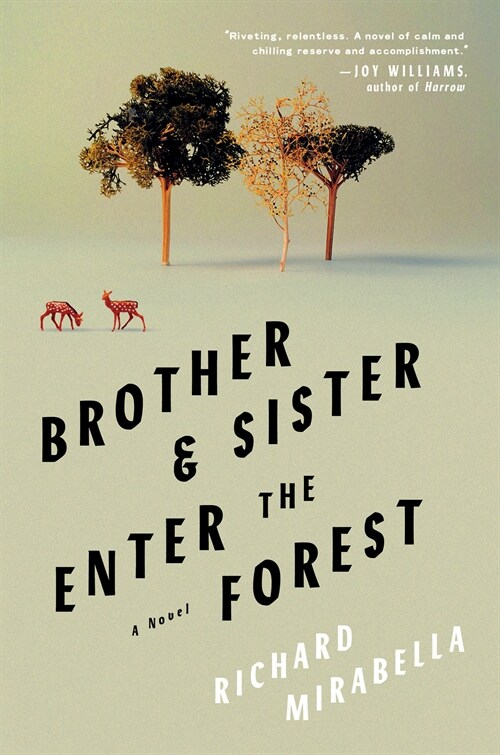 Brother & Sister Enter the Forest (Paperback)