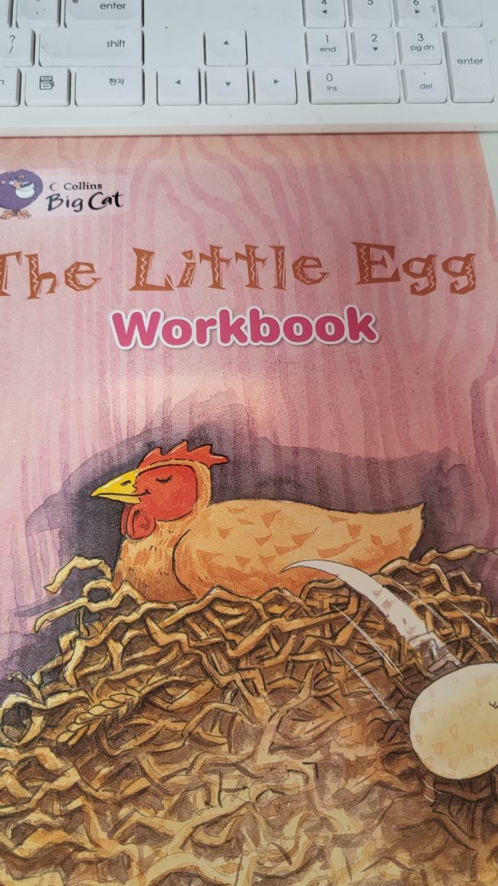 [중고] The Little Egg Workbook (Paperback)