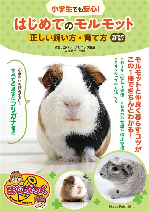 小學生でも安心!はじめてのモルモット正しい飼い方·育て方