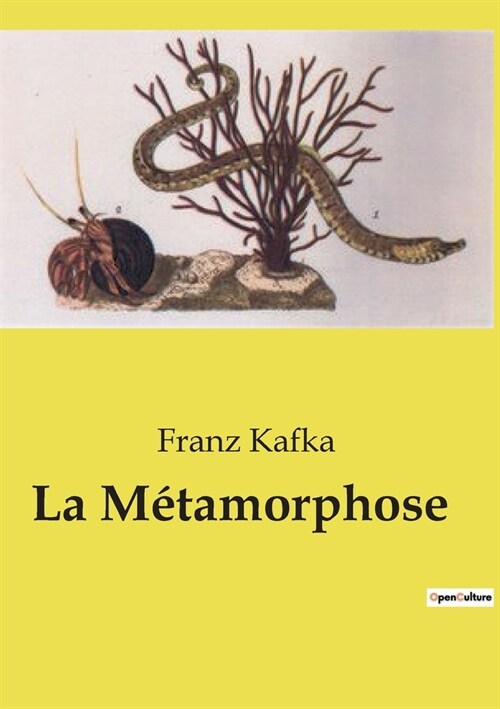 La M?amorphose (Paperback)