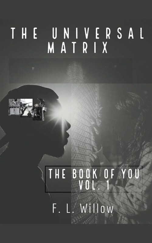 The Universal Matrix (Paperback)