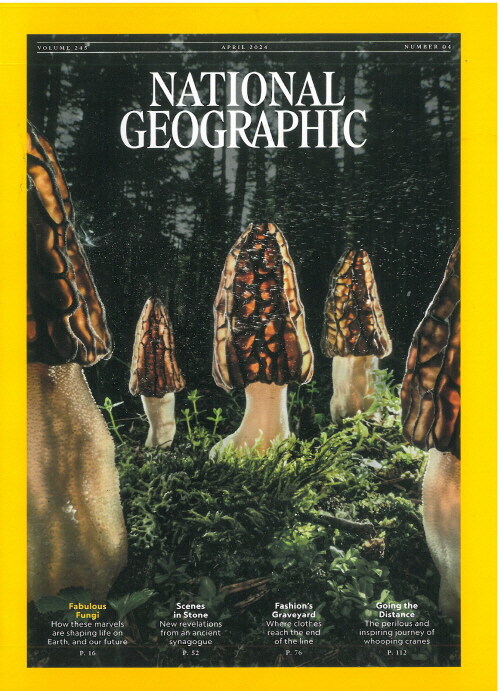 National Geographic USA (월간) : 2024년 04월