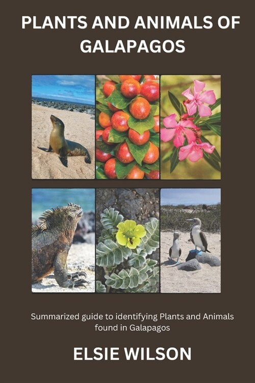 Plants and Animals of Galapagos: Guide to Flora and Fauna found in Galapagos (Paperback)