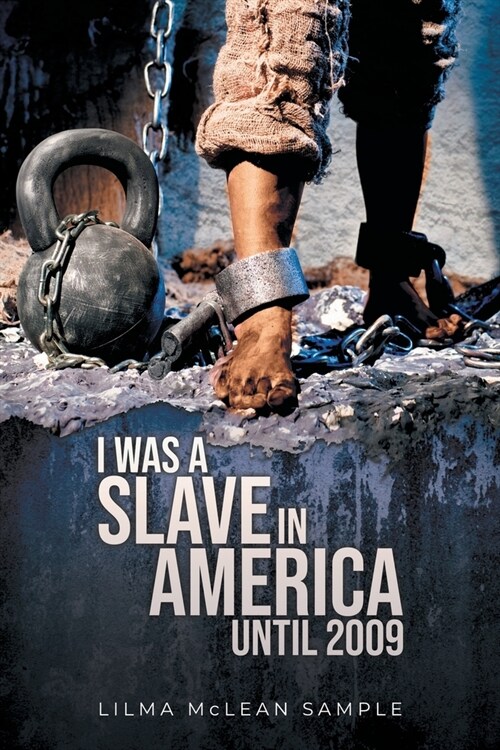 I Was a Slave in America Until 2009 (Paperback)