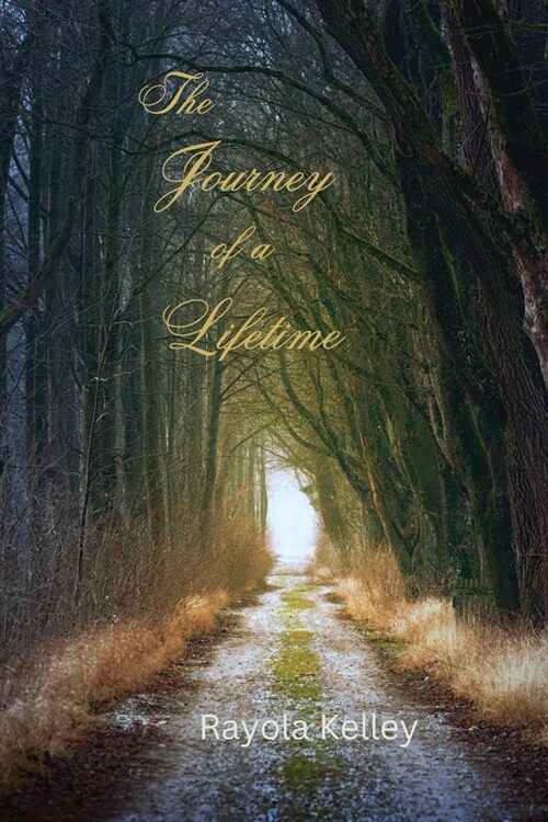 The Journey of a Lifetime (Paperback)