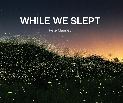 While We Slept (Paperback)