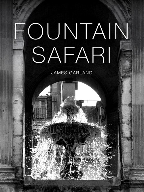 Fountain Safari (Paperback)