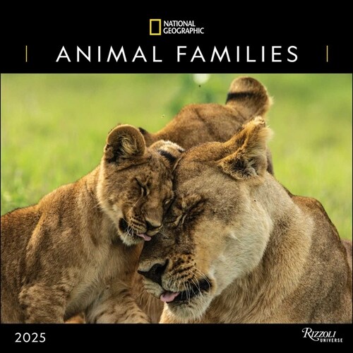 National Geographic: Animal Families 2025 Wall Calendar (Wall)