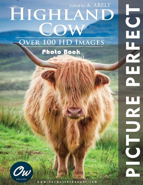 Highland Cow: Picture Perfect Photo Book (Paperback)