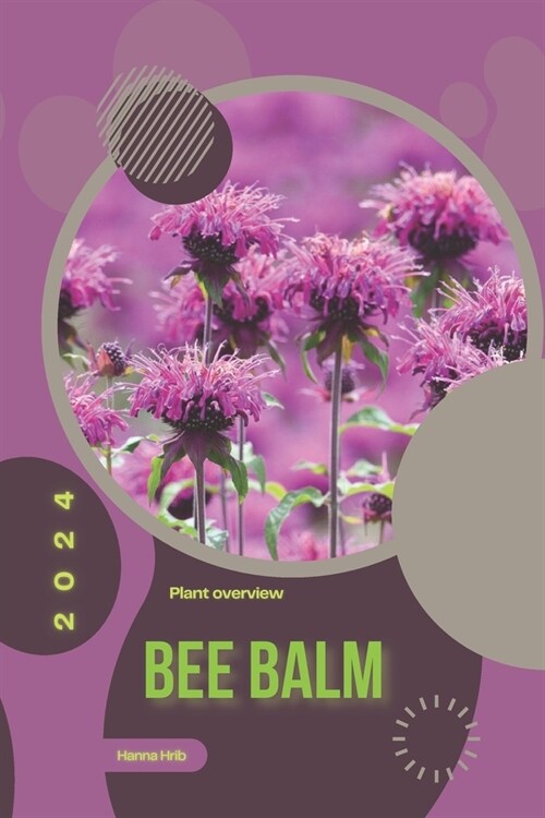 Bee Balm: Simply beginners guide (Paperback)
