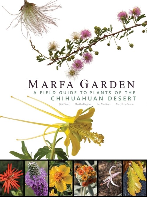 Marfa Garden: A Field Guide to Plants of the Chihuahuan Desert (Paperback)