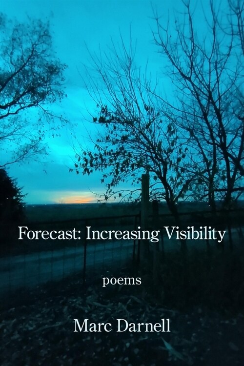 Forecast: Increasing Visibility (Paperback)