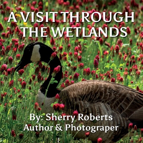 A Visit Through the Wetlands (Paperback)