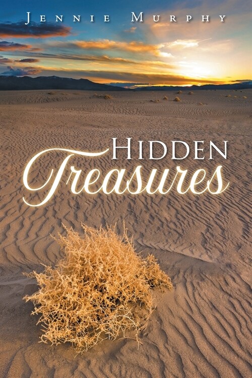 Hidden Treasures (Paperback)