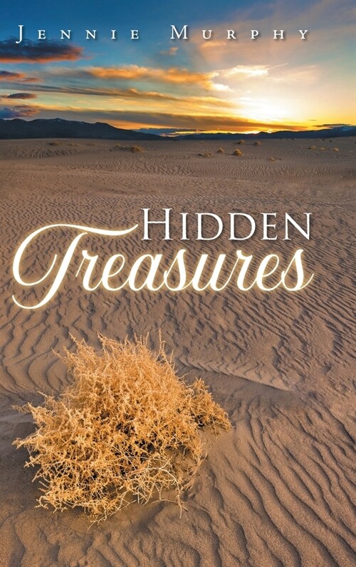 Hidden Treasures (Hardcover)