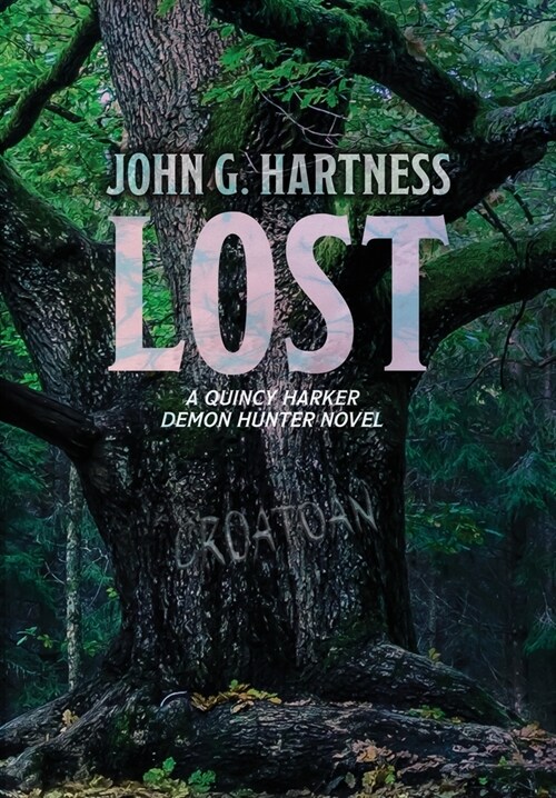 Lost (Hardcover)