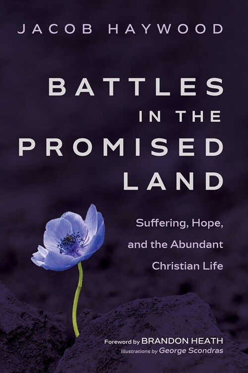 Battles in the Promised Land: Suffering, Hope, and the Abundant Christian Life (Paperback)