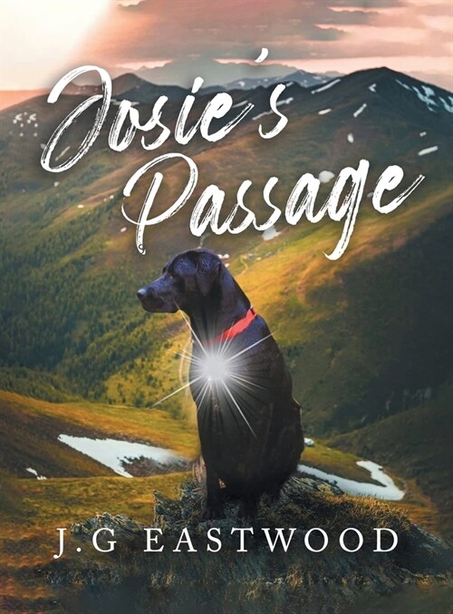 Josies Passage (Hardcover)
