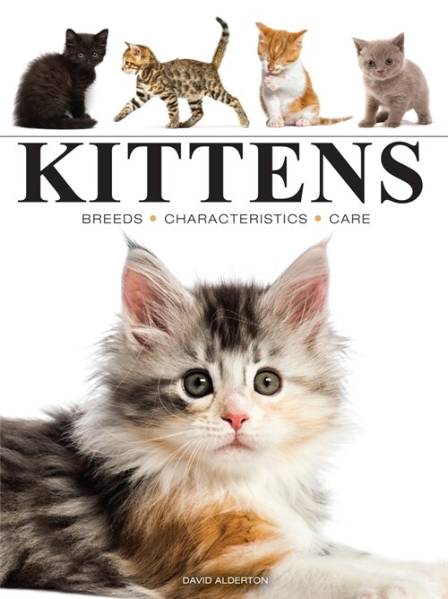 Kittens (Paperback)