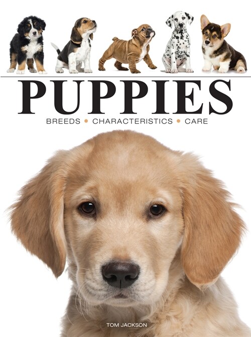 Puppies (Paperback)