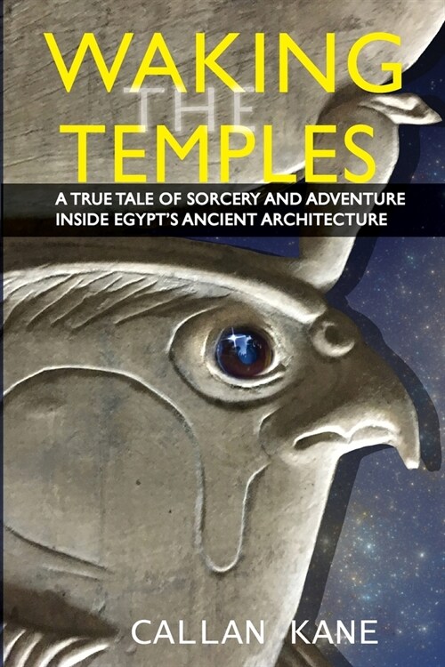 Waking The Temples (Paperback)