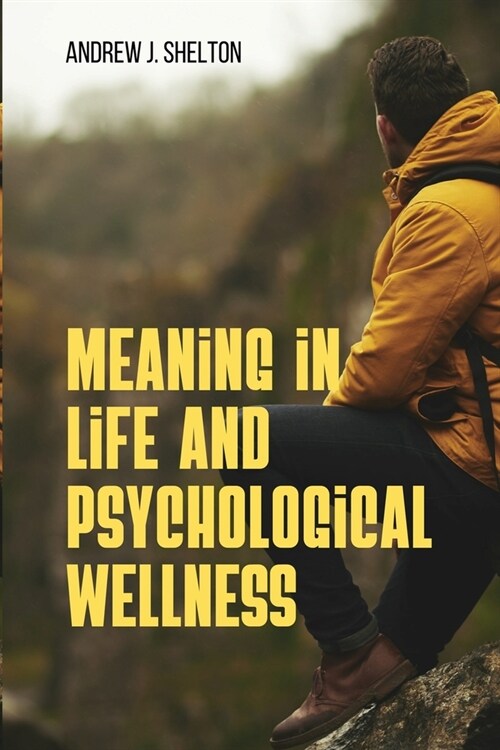 Meaning In Life and Psychological Well- Being (Paperback)