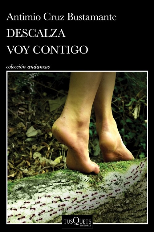 Descalza Voy Contigo / Barefoot Ill Go with You (Paperback)