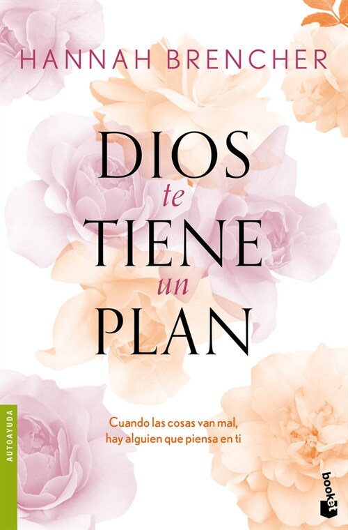 Dios Te Tiene Un Plan / Come Matter Here (Paperback)