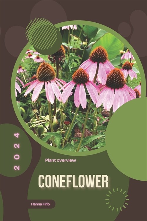 Coneflower: Simply beginners guide (Paperback)