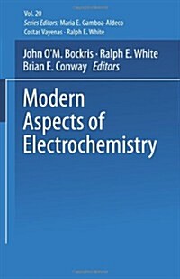 Modern Aspects of Electrochemistry No. 20 (Paperback, Softcover Repri)