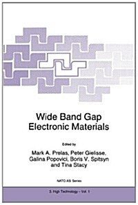 Wide Band Gap Electronic Materials (Paperback, Softcover Repri)