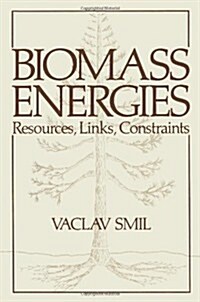 Biomass Energies: Resources, Links, Constraints (Paperback, Softcover Repri)