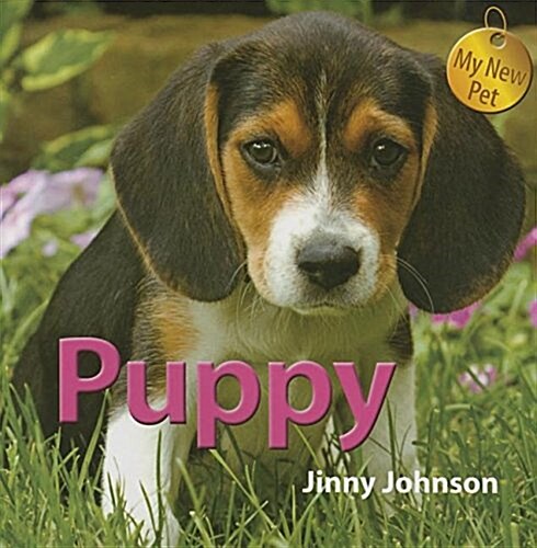 Puppy (Paperback)