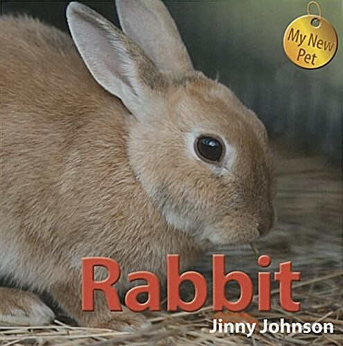 Rabbit (Paperback)