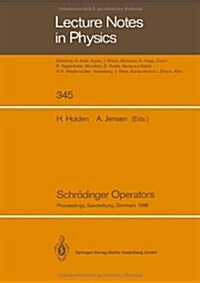 Schr?inger Operators: Proceedings of the Nordic Summer School in Mathematics Held at Sandbjerg Slot, S?derborg, Denmark, August 1-12, 1988 (Paperback, Softcover Repri)