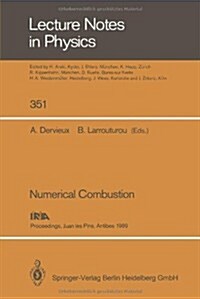 Numerical Combustion: Proceedings of the Third International Conference on Numerical Combustion Held in Juan Les Pins, Antibes, May 23-26, 1 (Paperback, Softcover Repri)