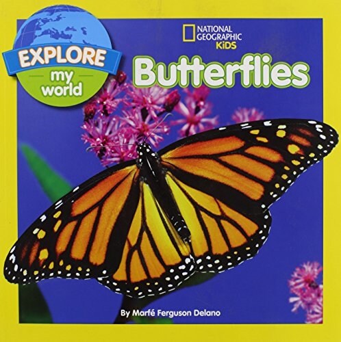 Explore My World Butterflies (Paperback)
