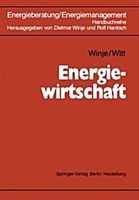 Energiewirtschaft (Paperback, Softcover Repri)