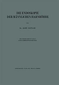 Die Endoskopie Der M?nlichen Harnr?re (Paperback, 1924)