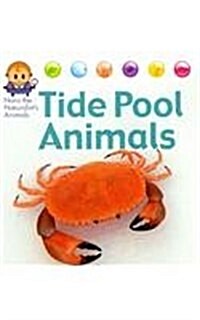 Tide Pool Animals (Paperback)