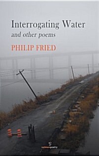 Interrogating Water: And Other Poems (Paperback)
