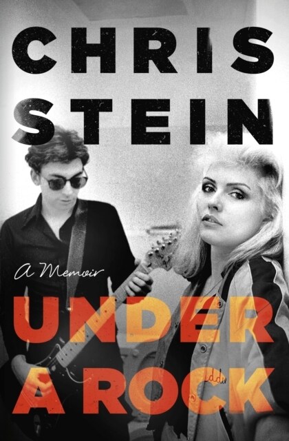 Under A Rock (Paperback)