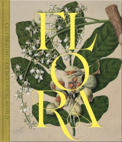 Flora : Celebrating Our Botanical World (Hardcover)