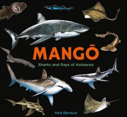 Mango : Sharks and Rays of Aotearoa (Hardcover)