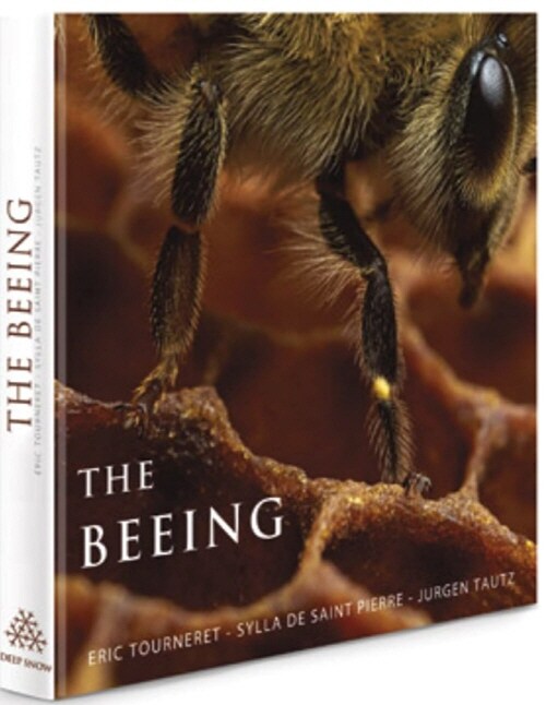 The Beeing: Life Inside a Honeybee Colony (Hardcover)