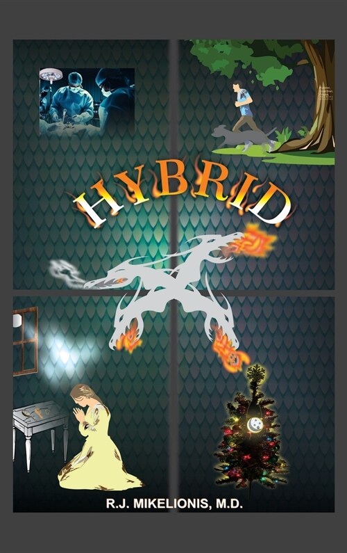 Hybrid (Hardcover)