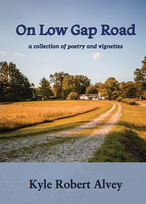 On Low Gap Road (Paperback)